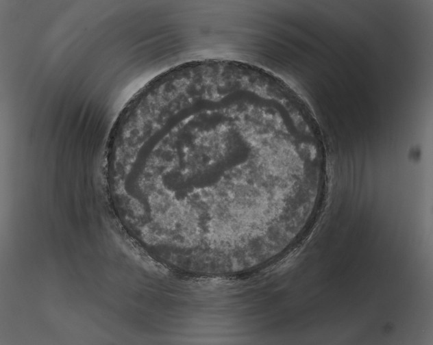 X0000115670879200912241417