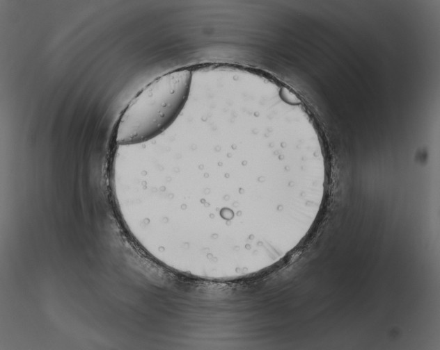 X0000115670880200912241417