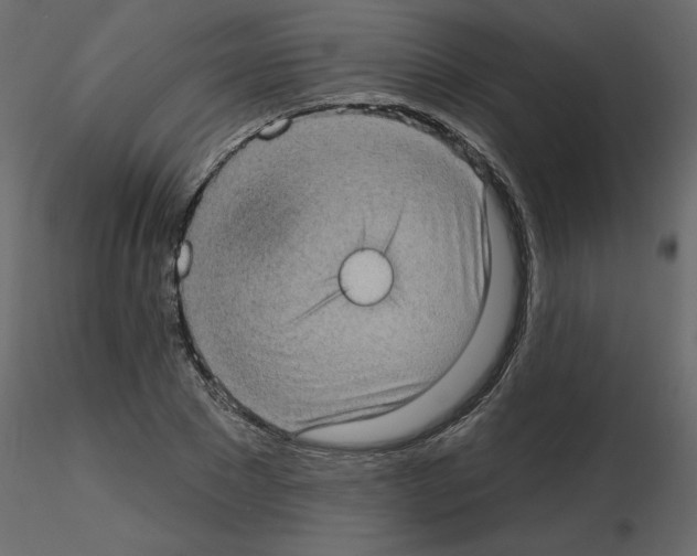 X0000115670881200912241417