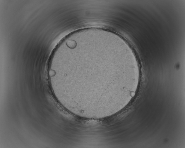 X0000115670883200912241417