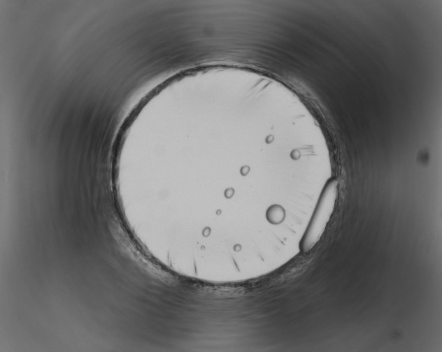 X0000115670884200912241417