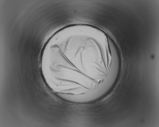 X0000115670885200912241417