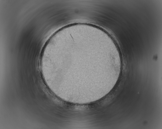 X0000115670887200912241417