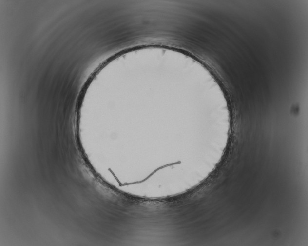 X0000115670888200912241417