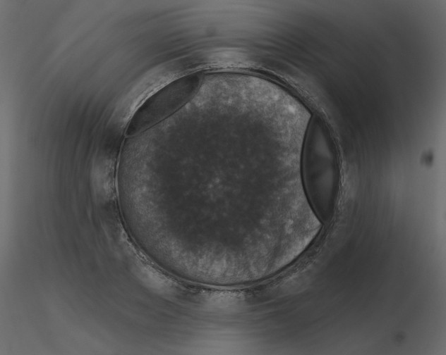 X0000115670889200912241417