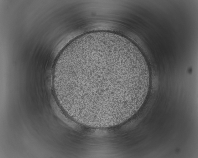 X0000115670890200912241417