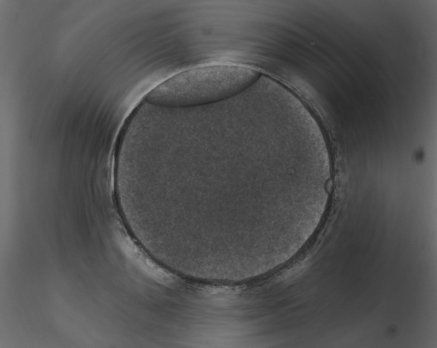 X0000115670892200912241417