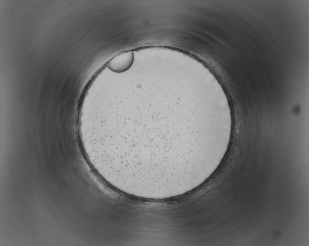 X0000115670894200912241417