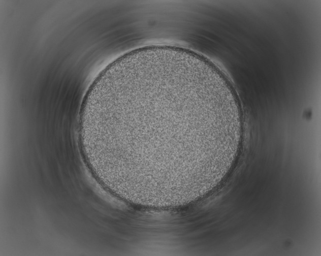 X0000115670895200912241417