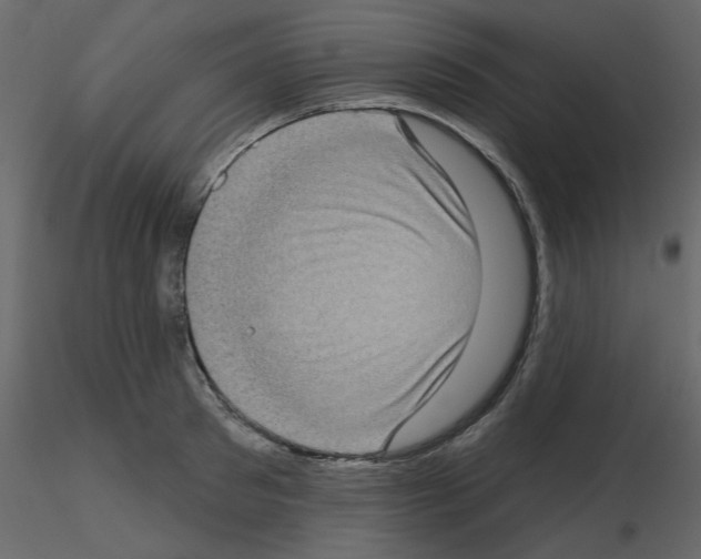 X0000115670897200912241417