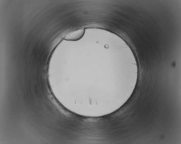 X0000115670898200912241417