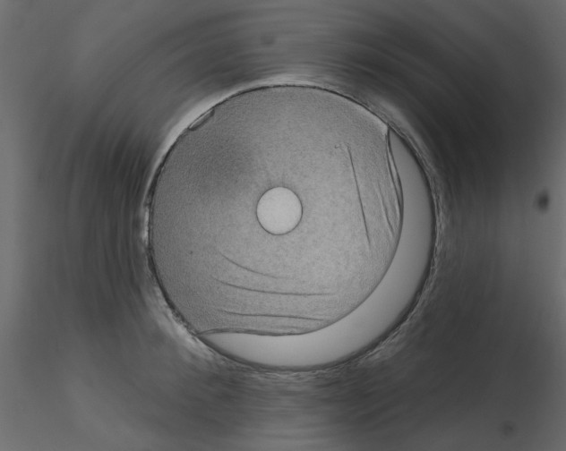 X0000115670900200912241417