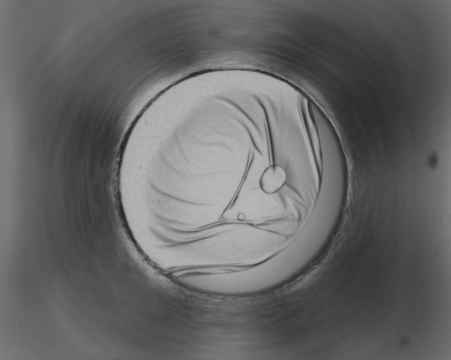 X0000115670901200912241417