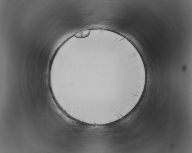 X0000115670902200912241417