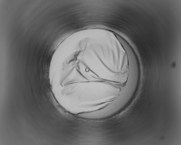 X0000115670905200912241417