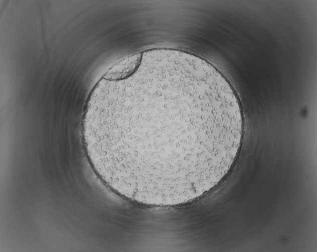 X0000115670906200912241417