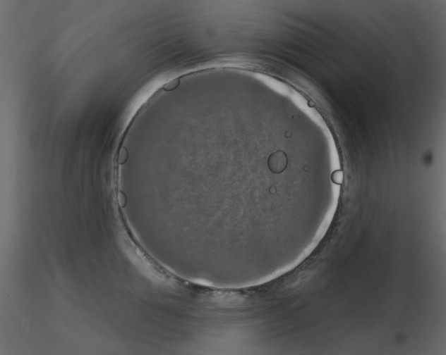 X0000115670907200912241417