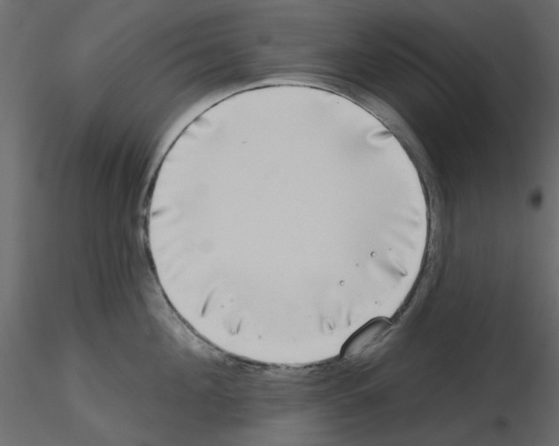 X0000115670908200912241417