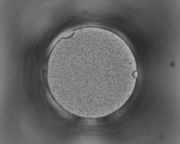 X0000115670911200912241417