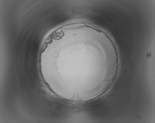 X0000115670912200912241417