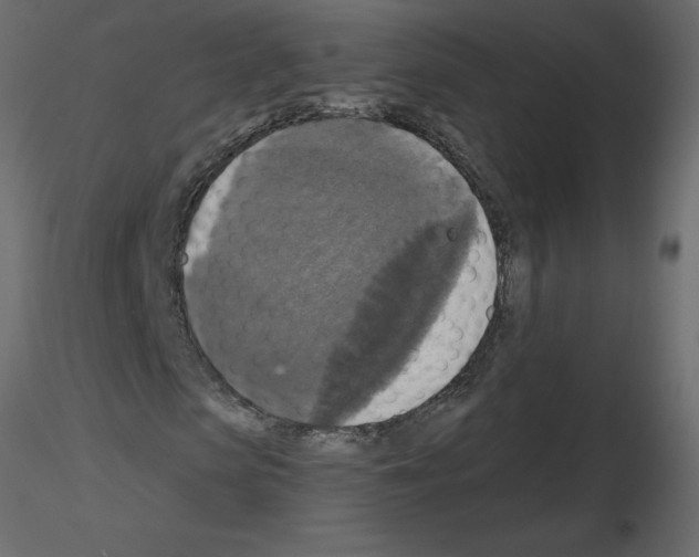 X0000115670913200912241416