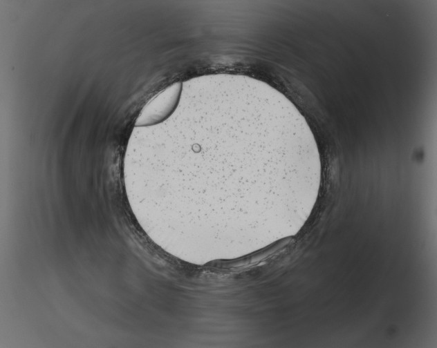 X0000115670914200912241416