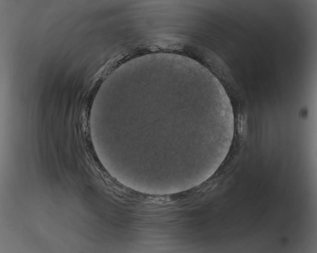 X0000115670915200912241416