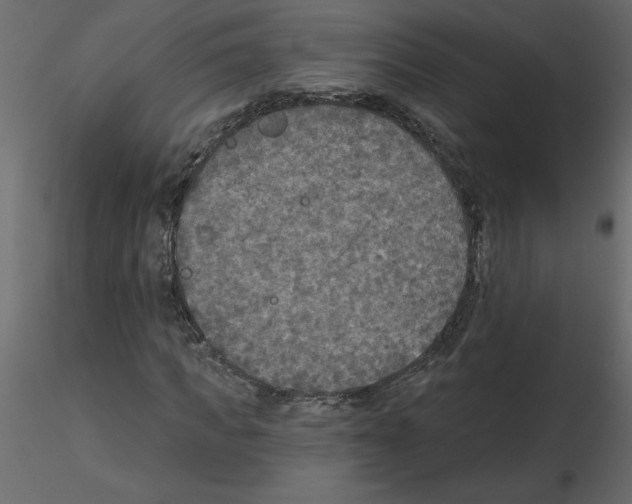 X0000115670917200912241416