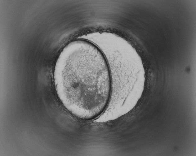 X0000115670918200912241416