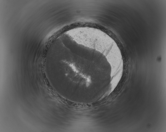 X0000115670919200912241416