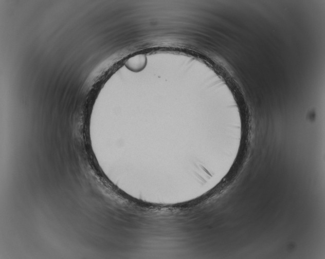 X0000115670922200912241416