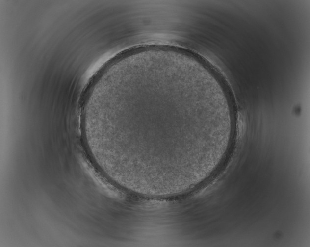 X0000115670925200912241416