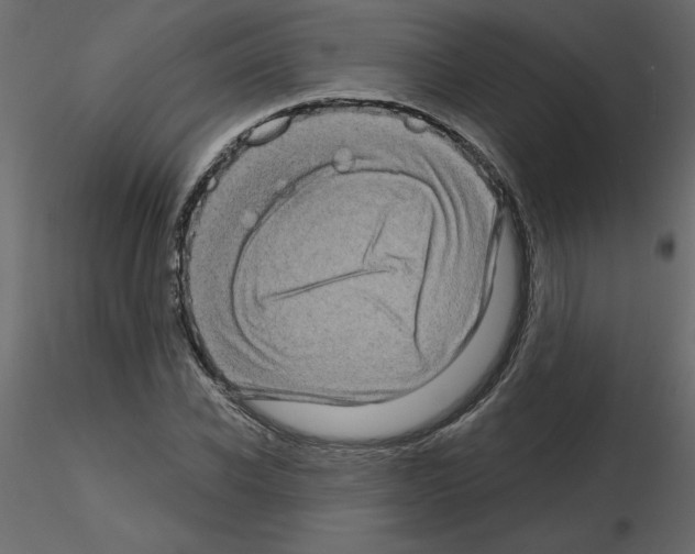 X0000115670926200912241416