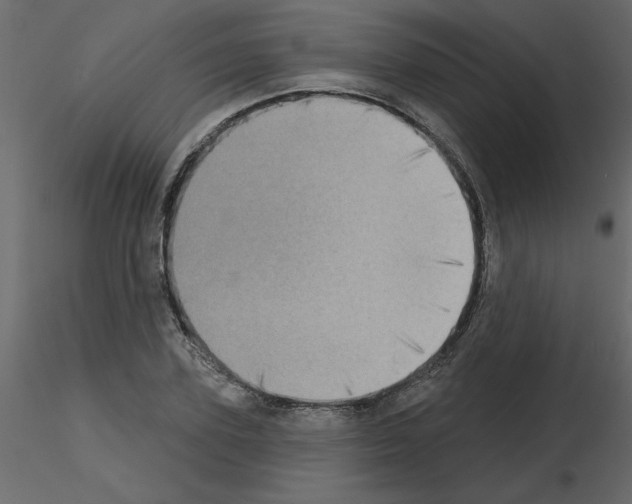 X0000115670931200912241416