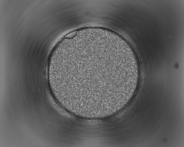 X0000115670934200912241417