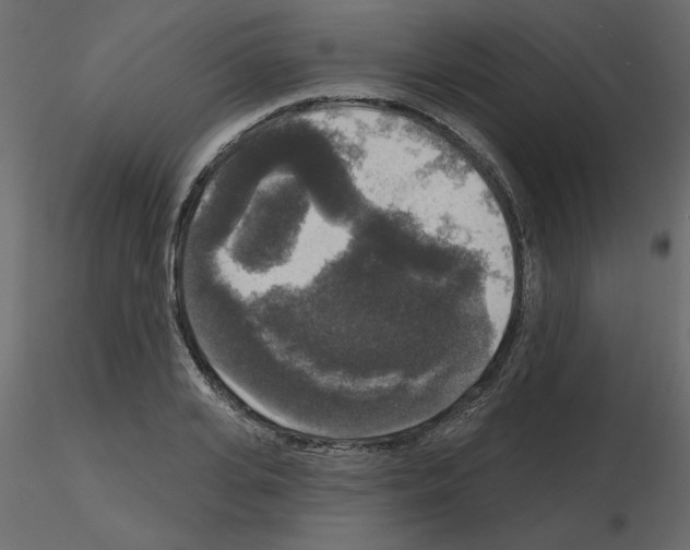 X0000115670935200912241417