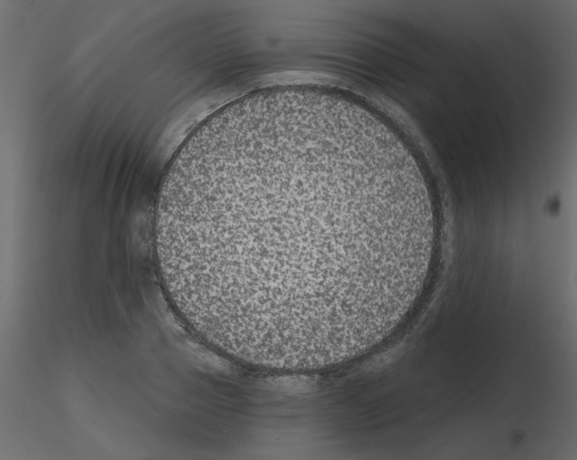 X0000115670937200912241417