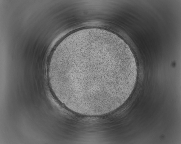 X0000115670939200912241417