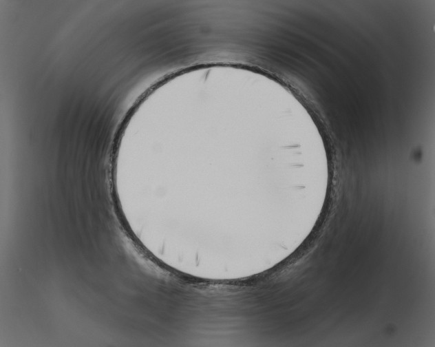 X0000115670942200912241417