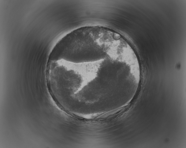 X0000115670943200912241417