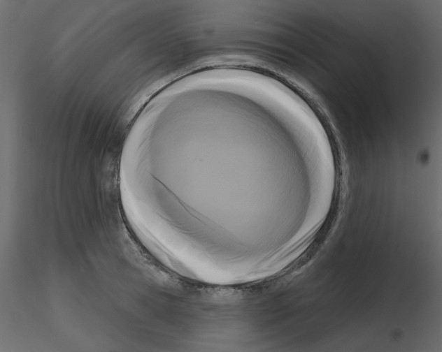 X0000115670945200912241417