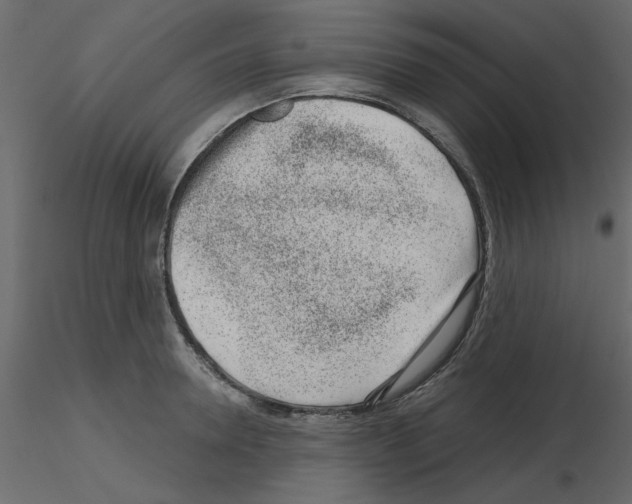 X0000115670946200912241417