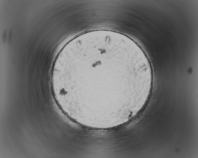 X0000115670949200912241417