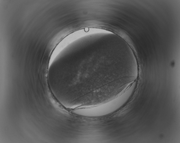 X0000115670954200912241417