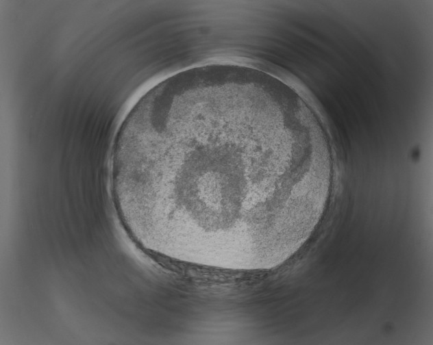 X0000115670955200912241417