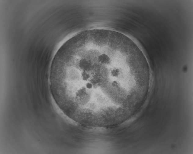 X0000115670957200912241417