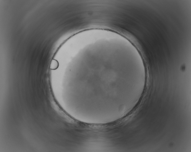 X0000115670958200912241417