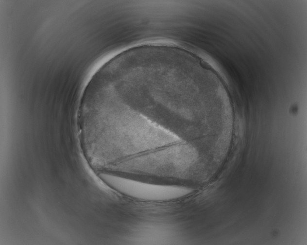 X0000115670959200912241417