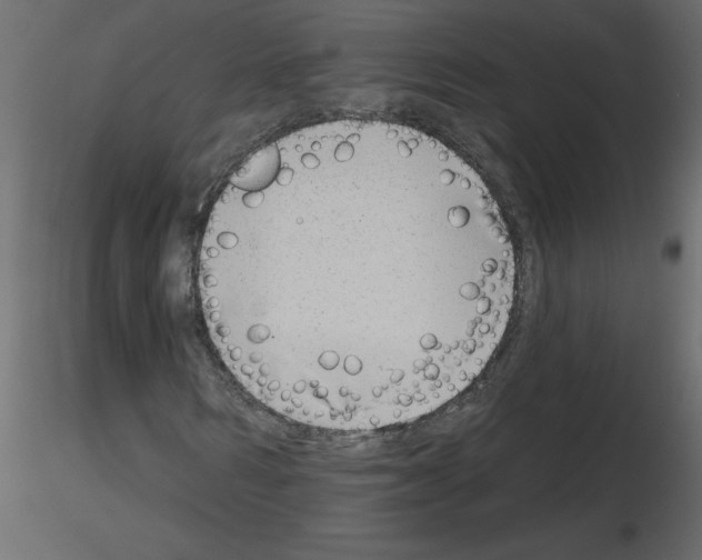 X0000115670962200912241416