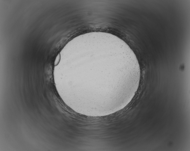 X0000115670963200912241416